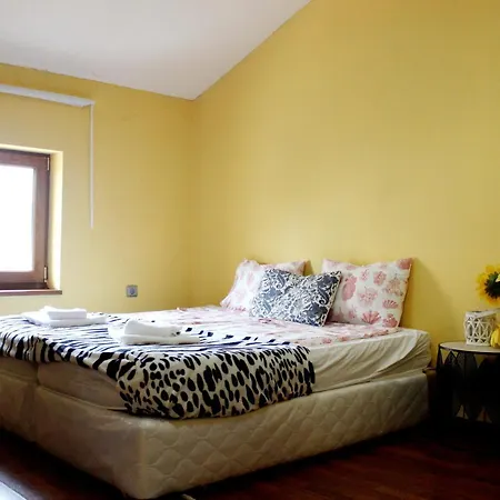 Vitoshka Biggest Apartment