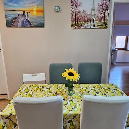 Vitoshka Biggest Apartment